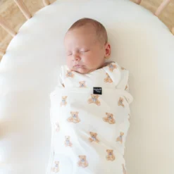 Sleep Bag Swaddler in Teddy Bear 1.0