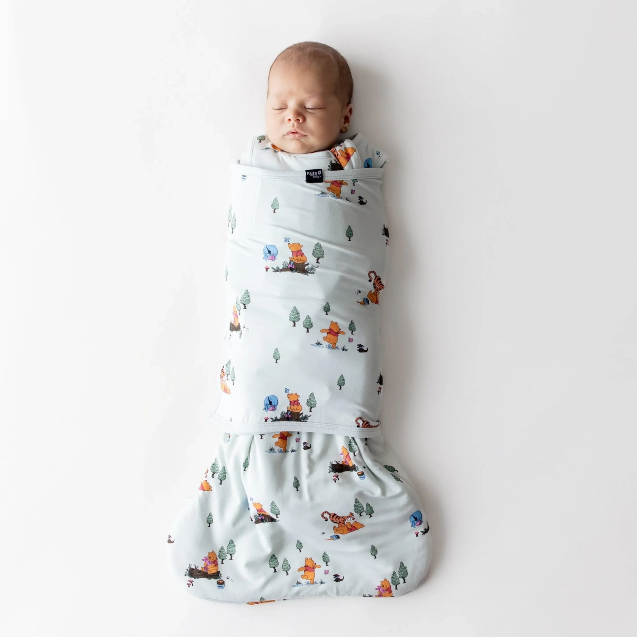 Sleep Bag Swaddler in Winnie the Pooh Hundred Acre Wood 1.0