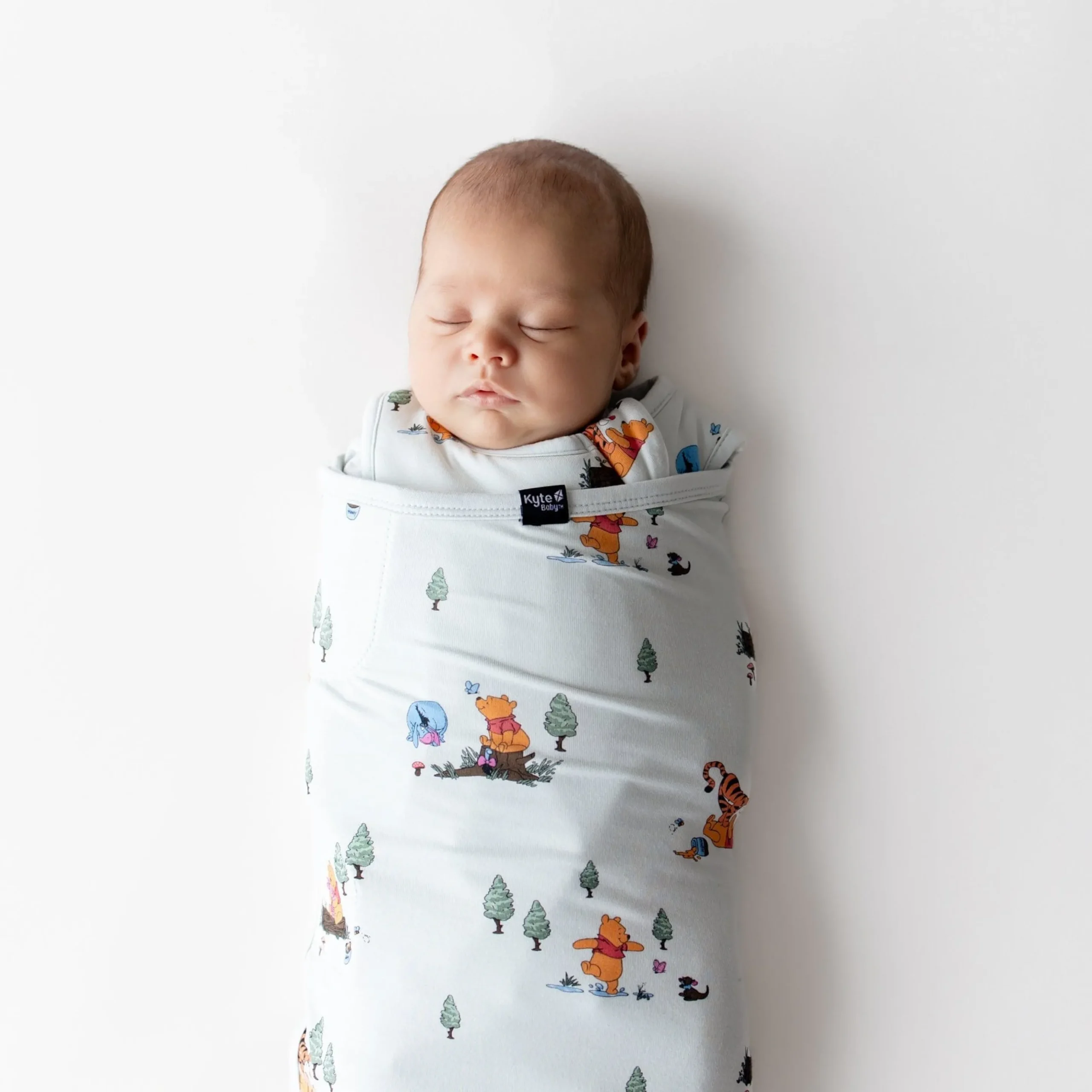 Sleep Bag Swaddler in Winnie the Pooh Hundred Acre Wood 1.0
