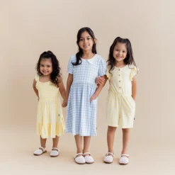 Smocked Dress in Gingham Chamomile