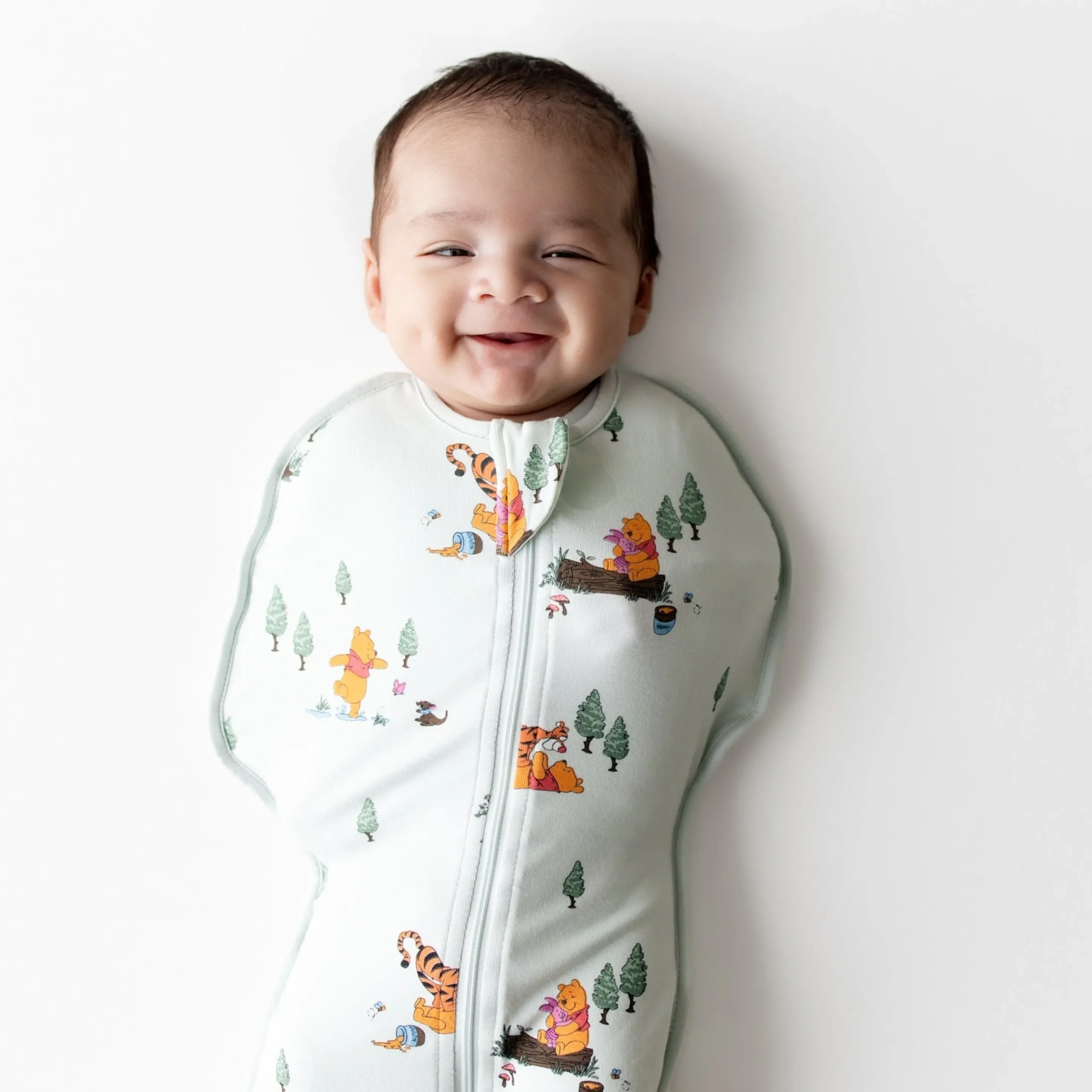 Swaddle Bag in Winnie the Pooh Hundred Acre Wood 0.5