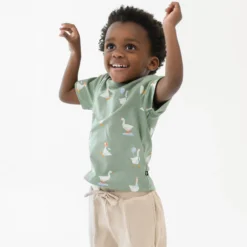Toddler Basic Tee in Silly Goose