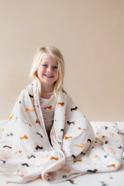 Toddler Blanket in Dachshund 1.0