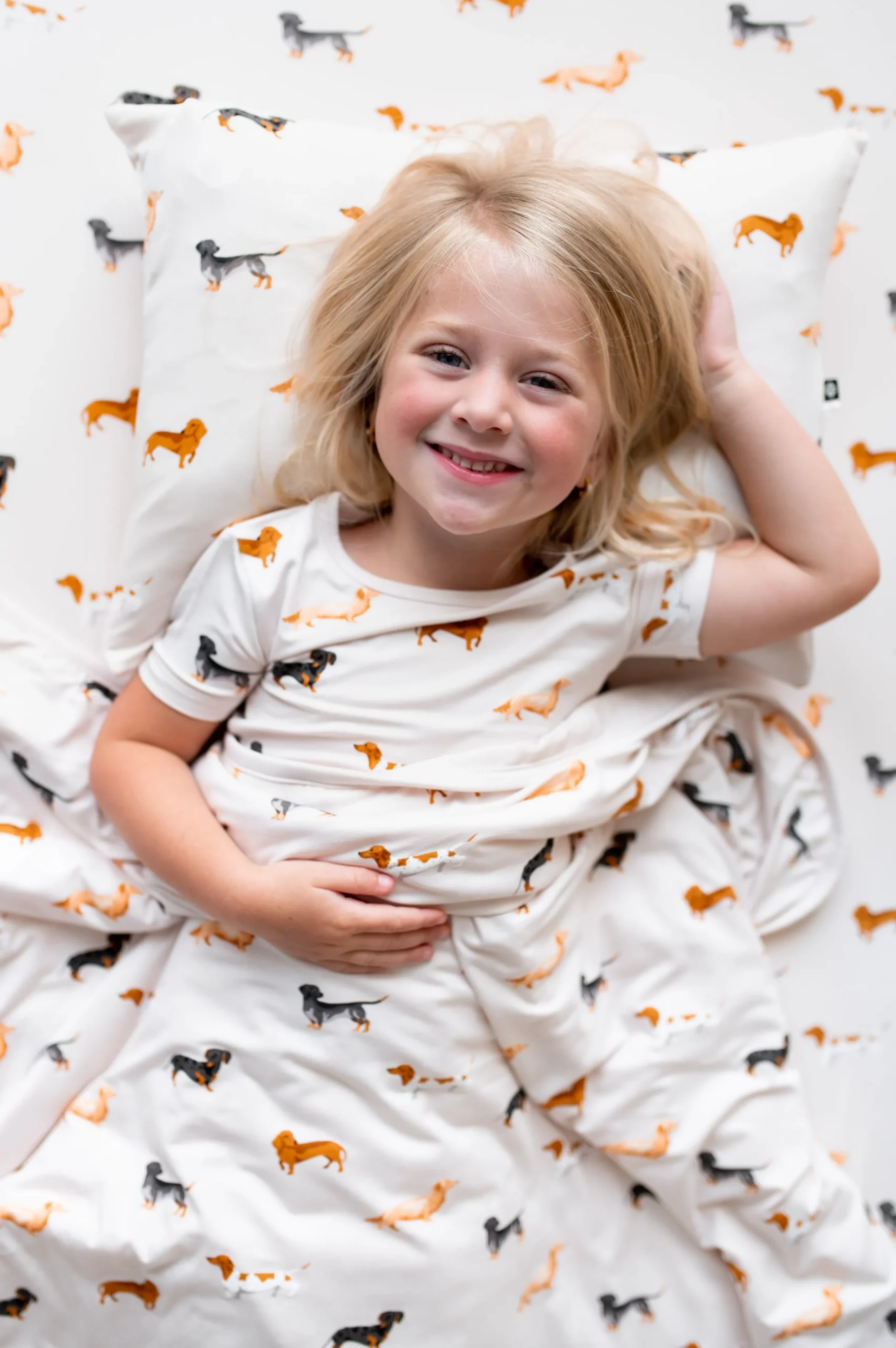 Toddler Blanket in Dachshund 1.0