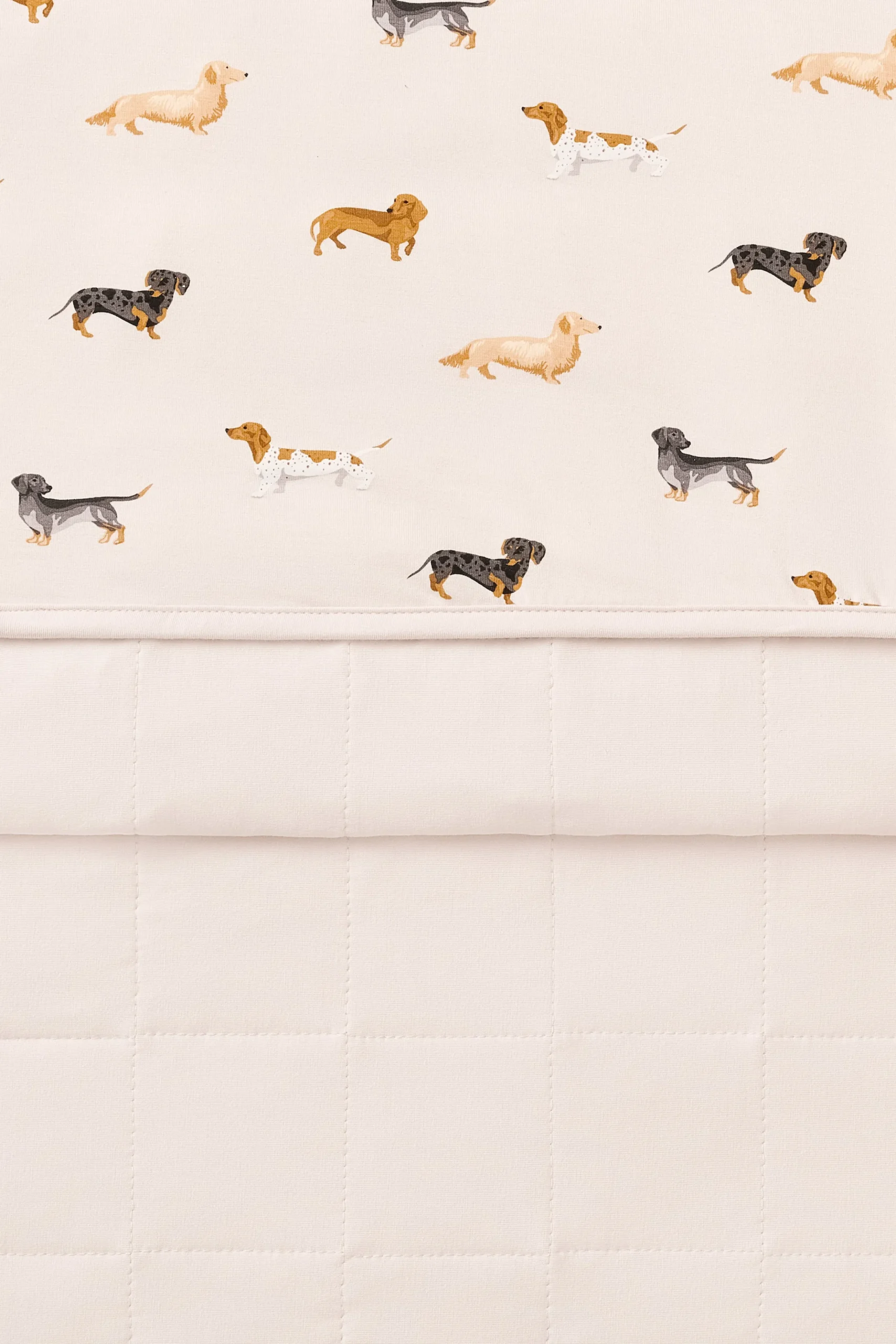 Toddler Blanket in Dachshund 1.0