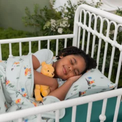 Toddler Blanket in Winnie the Pooh Hundred Acre Wood 1.0