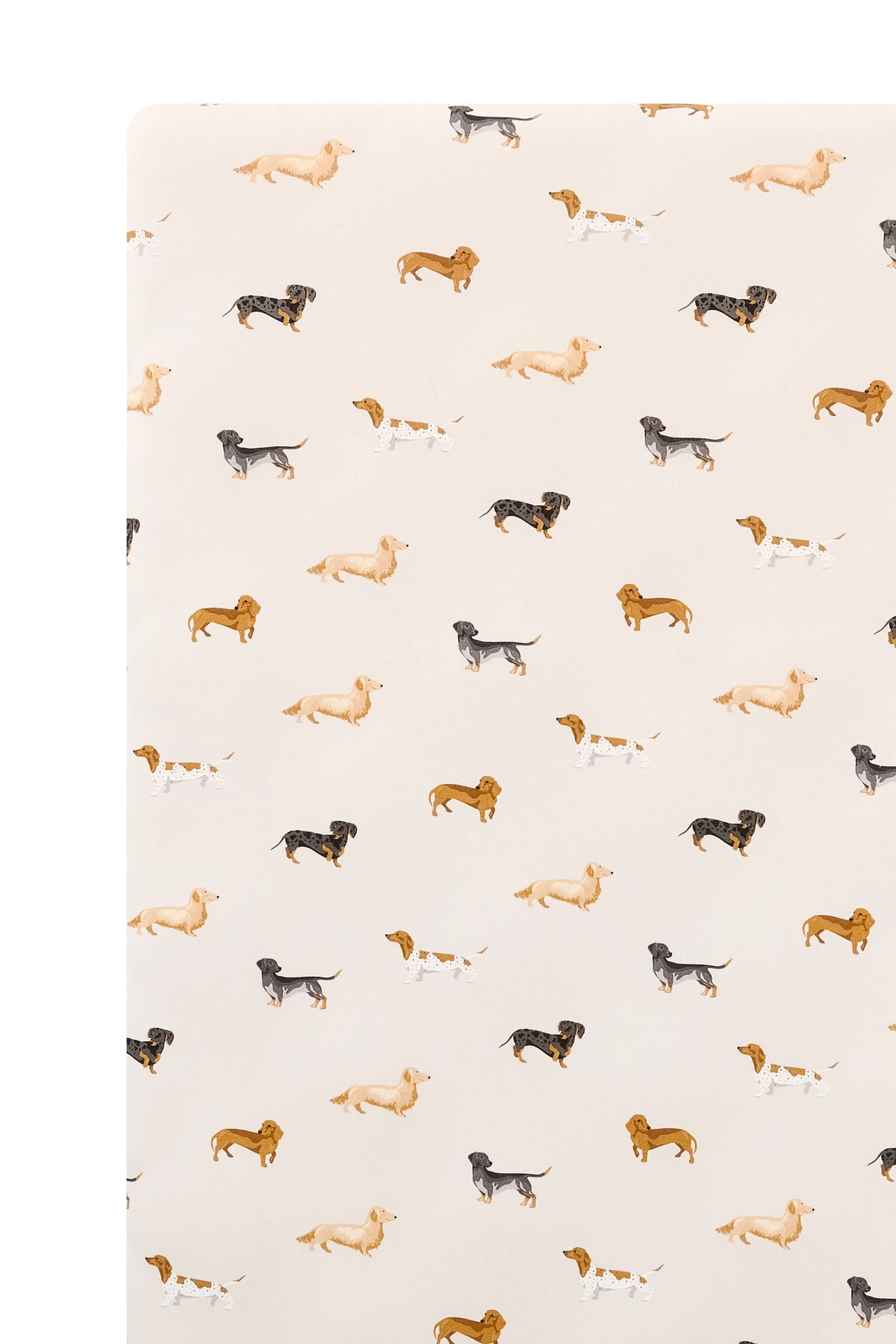 Twin Sheet in Dachshund