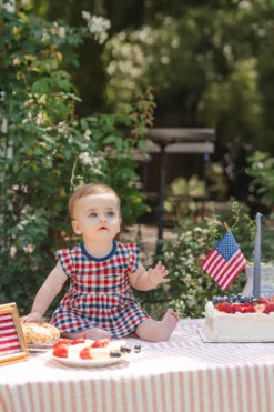 Twirl Bodysuit Dress in Patriotic Gingham