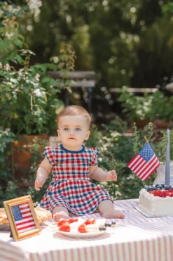 Twirl Bodysuit Dress in Patriotic Gingham