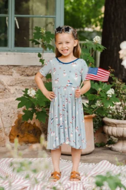 Twirl Dress in Patriotic Goose