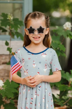 Twirl Dress in Patriotic Goose