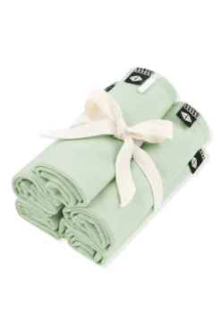 Washcloth 5-Pack in Basil