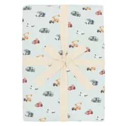 Youth Blanket in City Vehicles 2.5