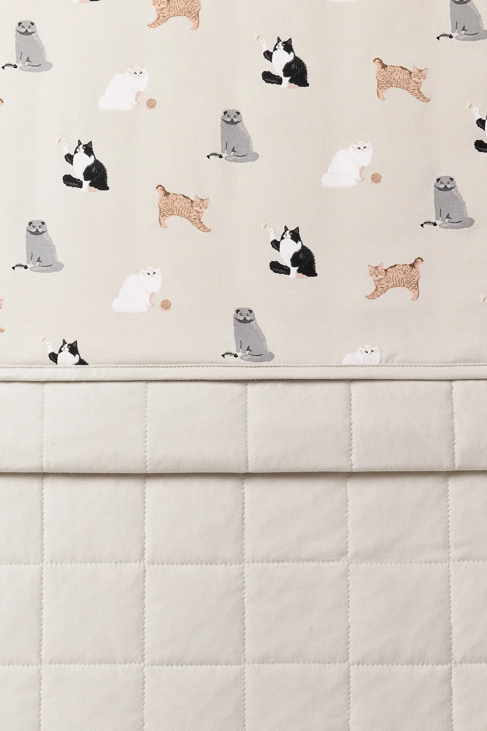 Youth Blanket in Fluffy Cat 1.0