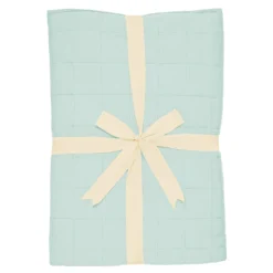 Youth Blanket in Sage 2.5