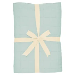 Youth Blanket in Sage 1.0