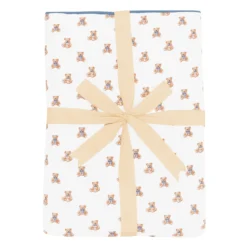 Youth Blanket in Teddy Bear 1.0